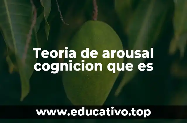 Teoria de arousal cognicion que es