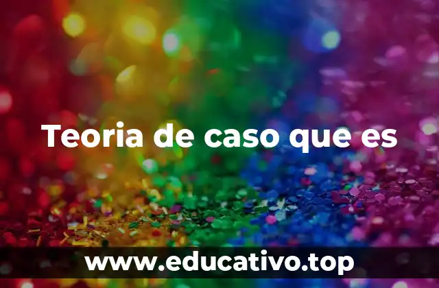Teoria de caso que es