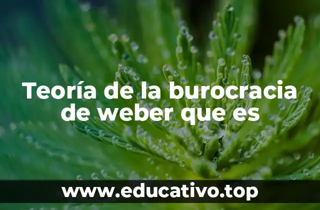 Teoría de la burocracia de weber que es