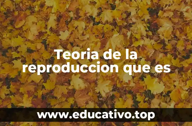 Teoria de la reproduccion que es