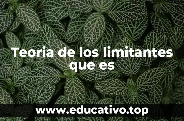 Teoria de los limitantes que es