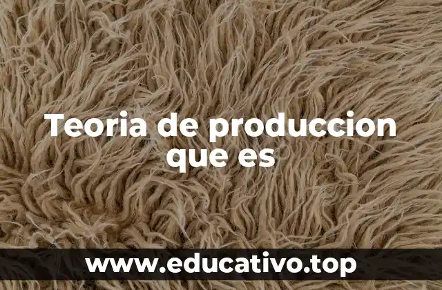 Teoria de produccion que es