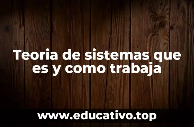 Teoria de sistemas que es y como trabaja