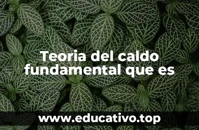 Teoria del caldo fundamental que es