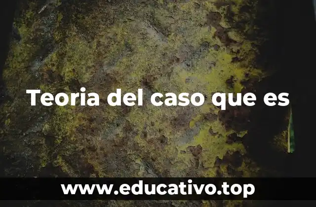 Teoria del caso que es