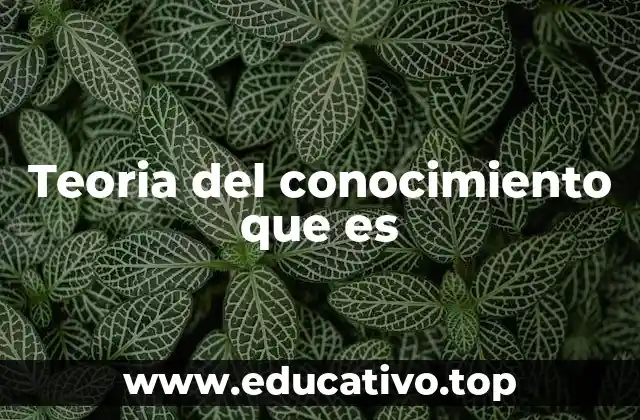 Teoria del conocimiento que es