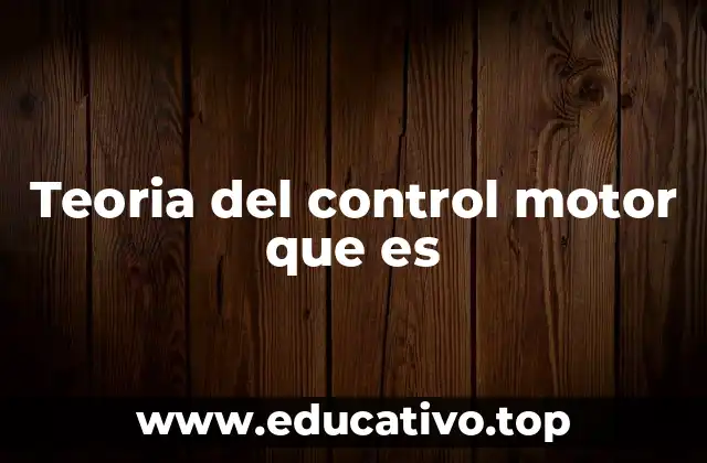 Teoria del control motor que es
