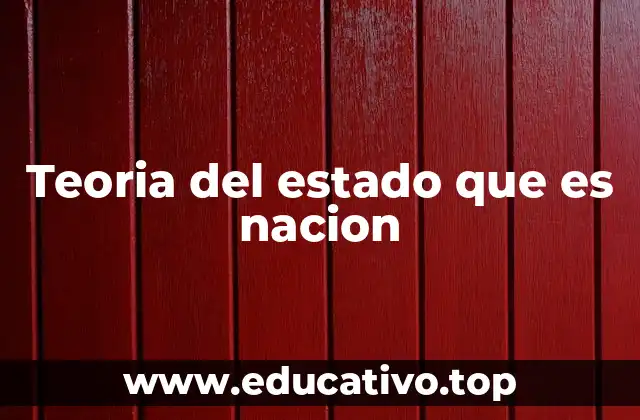 Teoria del estado que es nacion