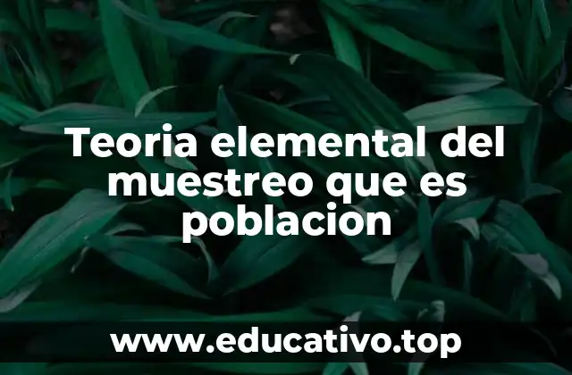 Teoria elemental del muestreo que es poblacion