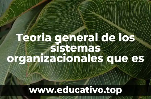 Teoria general de los sistemas organizacionales que es