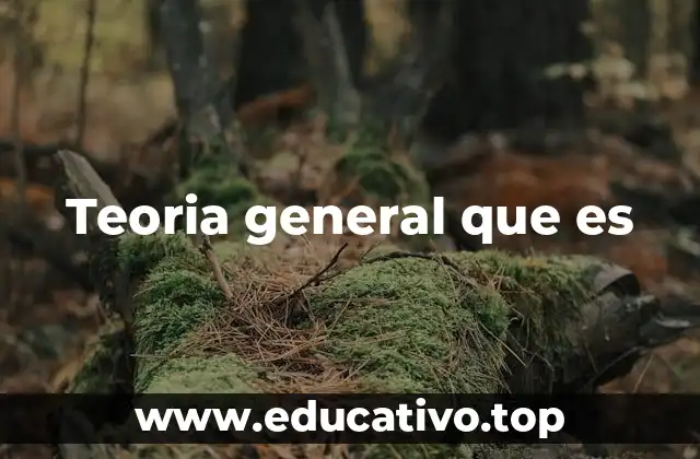 Teoria general que es