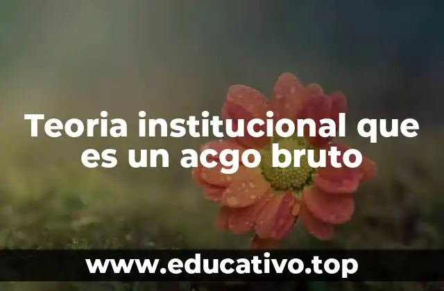 Teoria institucional que es un acgo bruto
