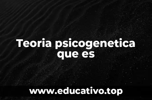 Teoria psicogenetica que es
