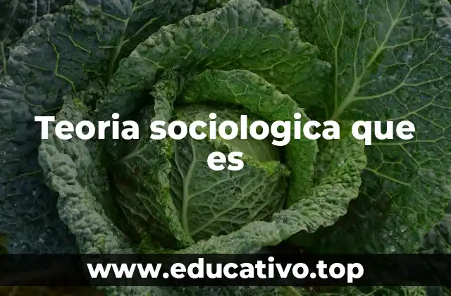Teoria sociologica que es