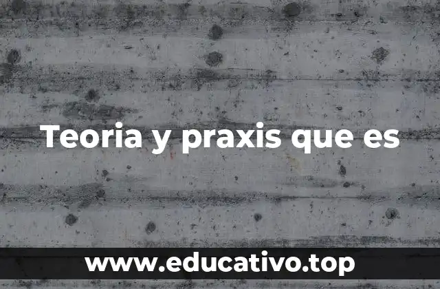Teoria y praxis que es