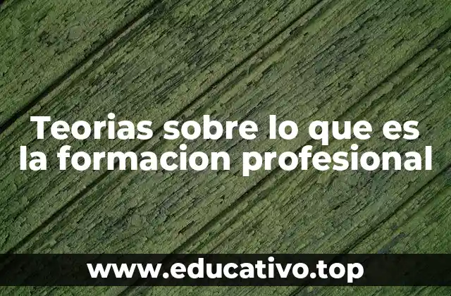 Teorias sobre lo que es la formacion profesional