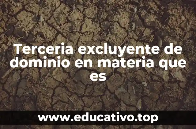 Terceria excluyente de dominio en materia que es