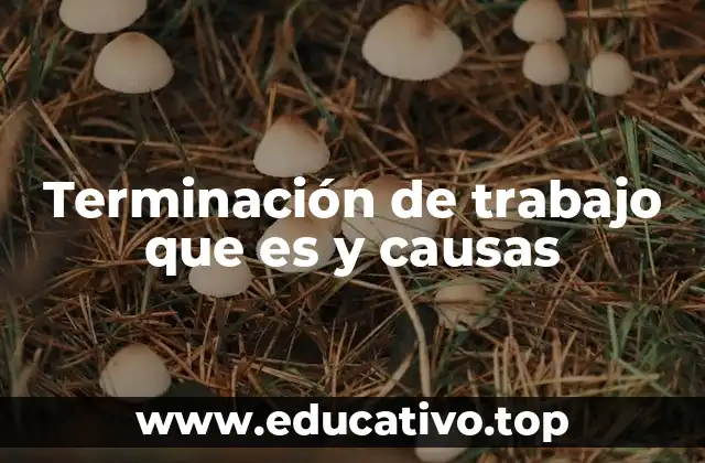 Terminación de trabajo que es y causas