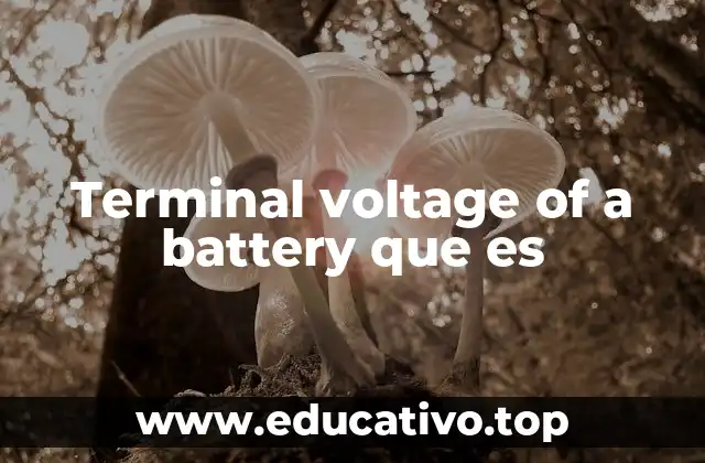 Terminal voltage of a battery que es