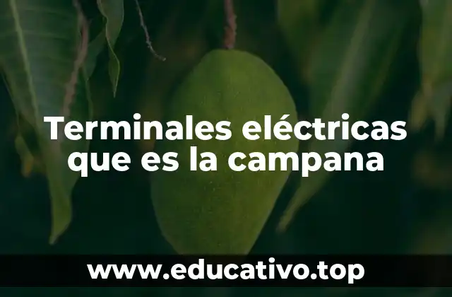 Terminales eléctricas que es la campana