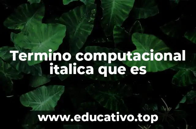 Termino computacional italica que es