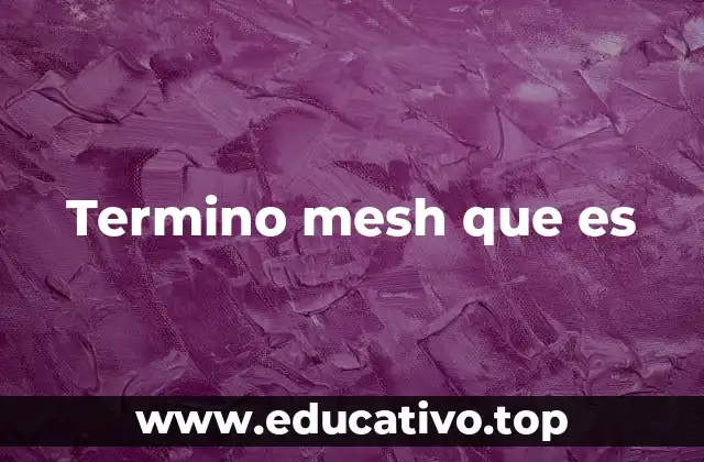 Termino mesh que es