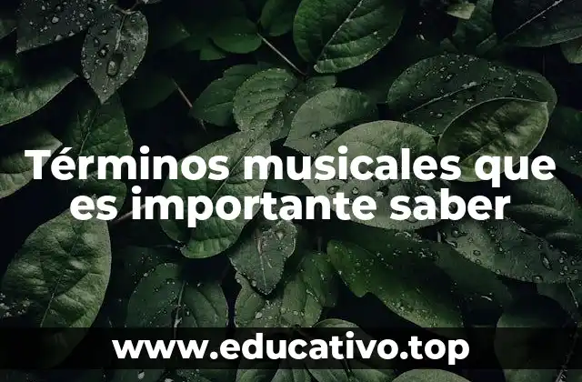 Términos musicales que es importante saber
