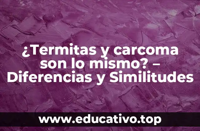¿Termitas y carcoma son lo mismo? – Diferencias y Similitudes