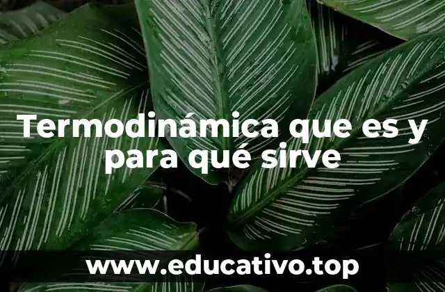 Termodinámica que es y para qué sirve