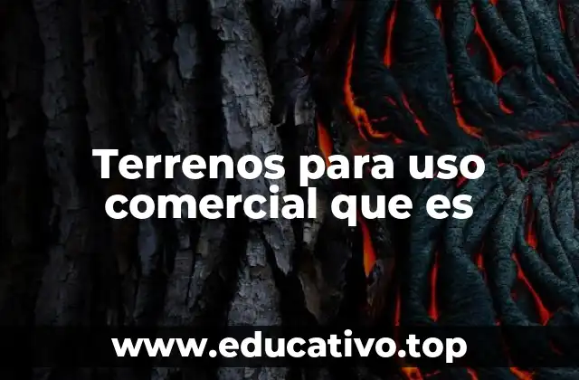 Terrenos para uso comercial que es