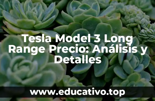 Tesla Model 3 Long Range Precio: Análisis y Detalles