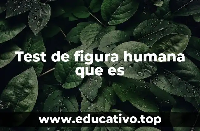 Test de figura humana que es