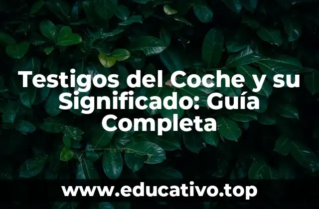 Testigos del Coche y su Significado: Guía Completa