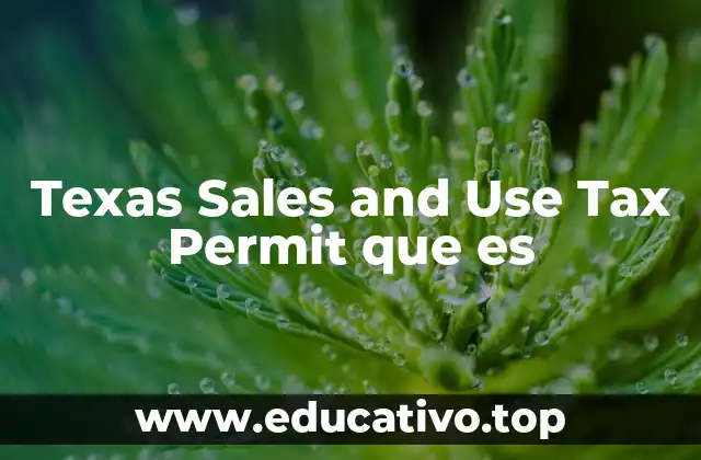 Texas Sales and Use Tax Permit que es