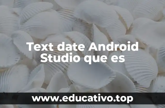 Text date Android Studio que es