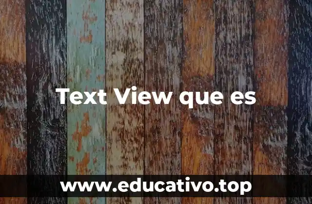 Text View que es