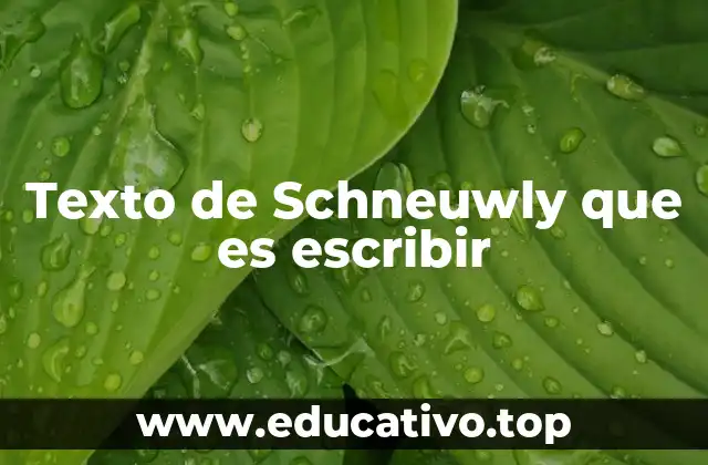 Texto de Schneuwly que es escribir