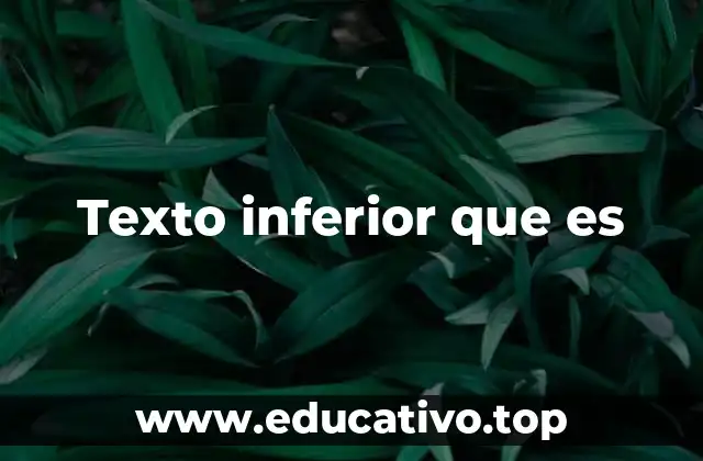 Texto inferior que es