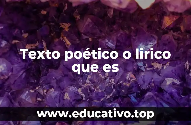 Texto poético o lirico que es