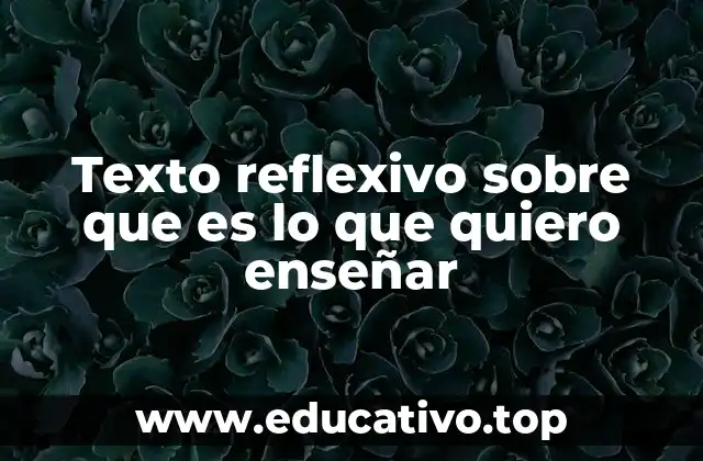 Texto reflexivo sobre que es lo que quiero enseñar