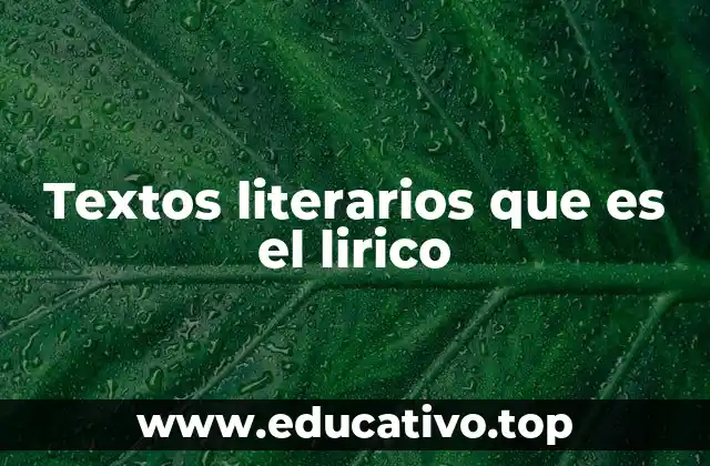 Textos literarios que es el lirico