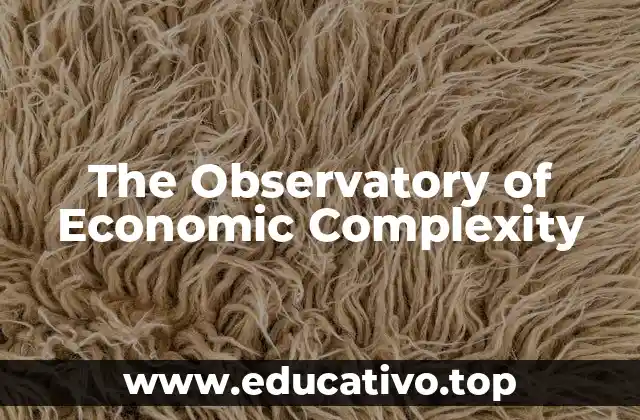 The Observatory of Economic Complexity