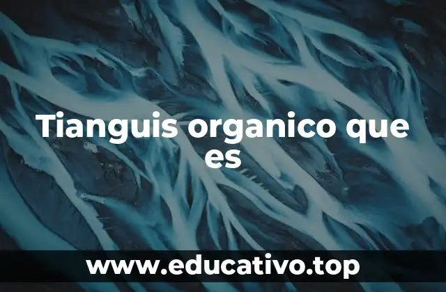 Tianguis organico que es