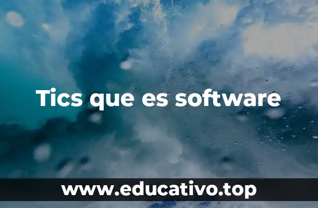 Tics que es software