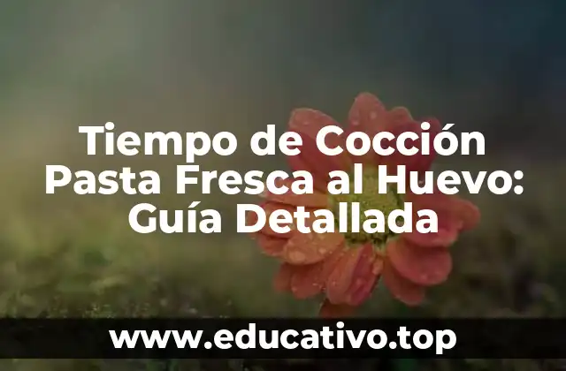 Tiempo de Cocción Pasta Fresca al Huevo: Guía Detallada