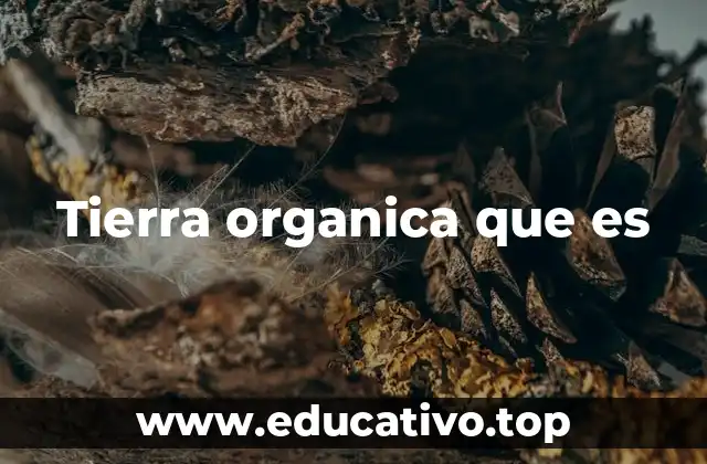 Tierra organica que es