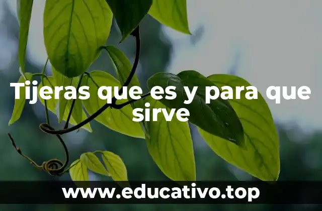 Tijeras que es y para que sirve