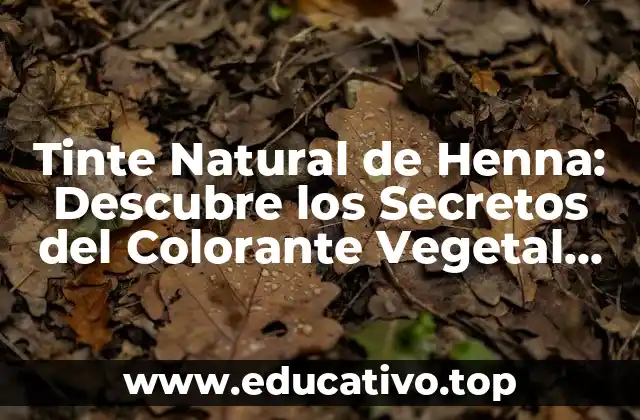 Tinte Natural de Henna: Descubre los Secretos del Colorante Vegetal Más Popular