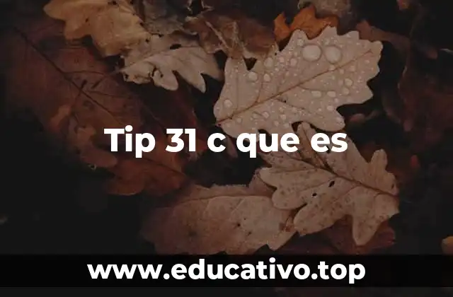 Tip 31 c que es