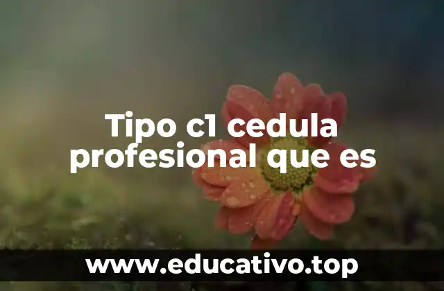 Tipo c1 cedula profesional que es
